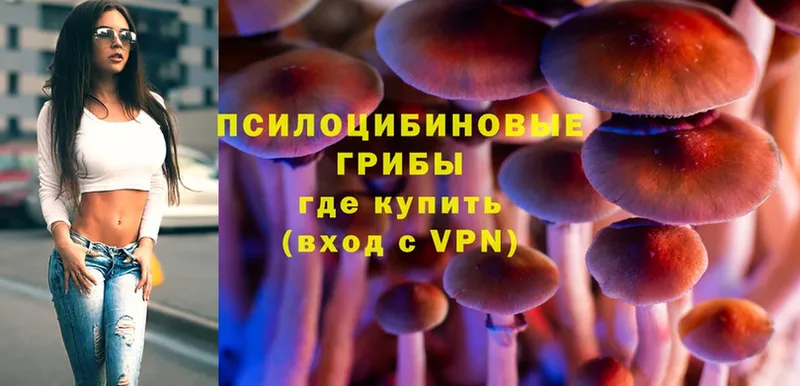 Галлюциногенные грибы Psilocybe Бирюч